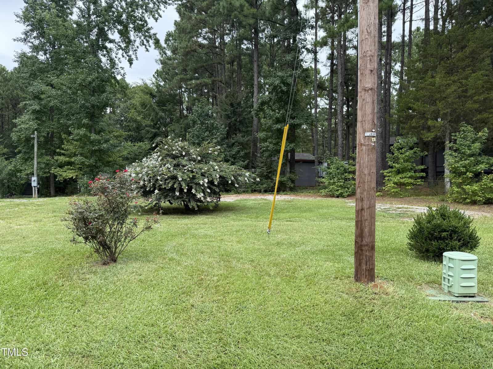 A grassy yard with a utility pole, green utility box, small bushes, and a large shrub. Trees and a dirt driveway are in the background. The sky is overcast.