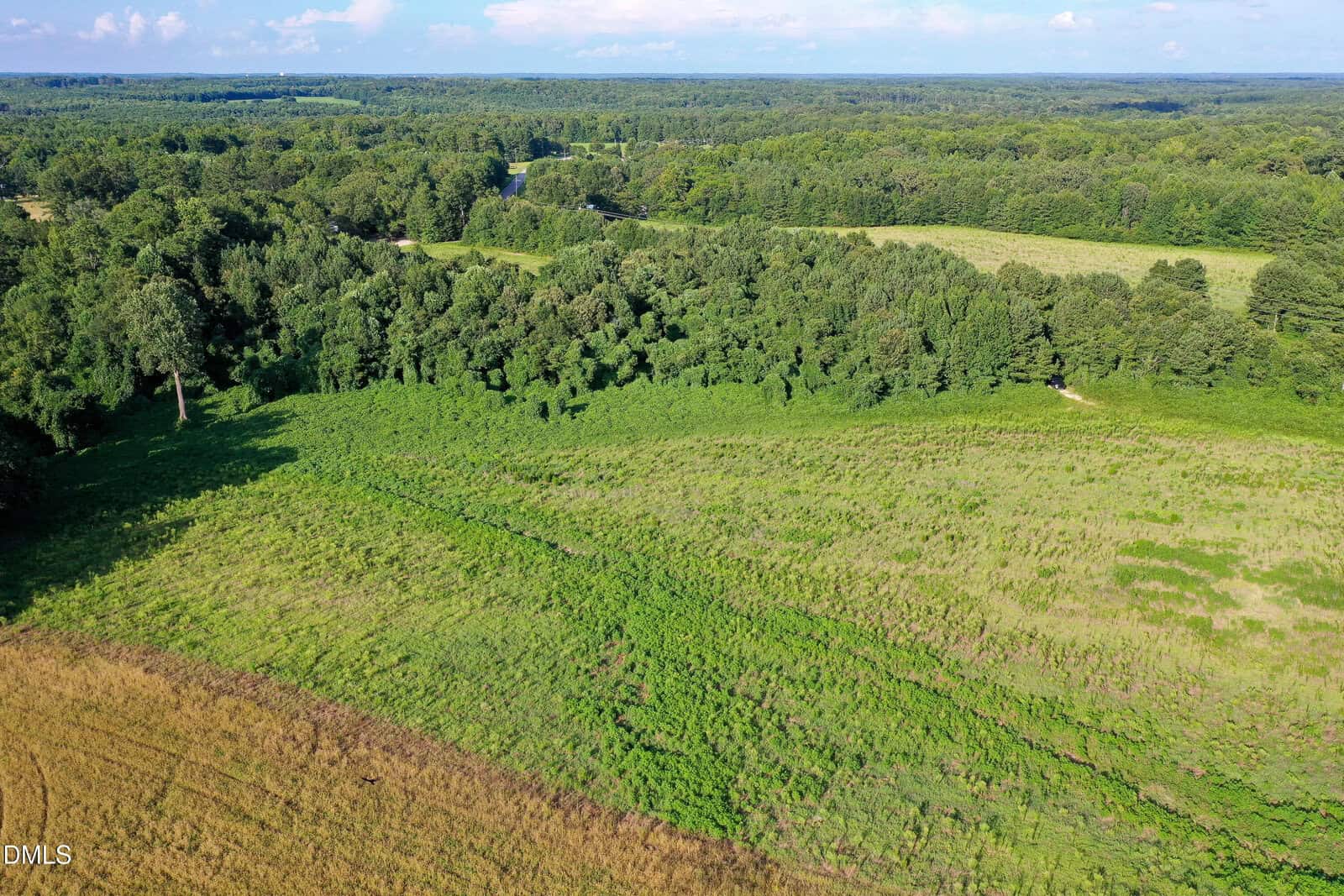 Aerial view of a green, grassy field bordered by dense trees under a partly cloudy sky. A forested area stretches into the distance, with varied shades of green throughout the landscape.