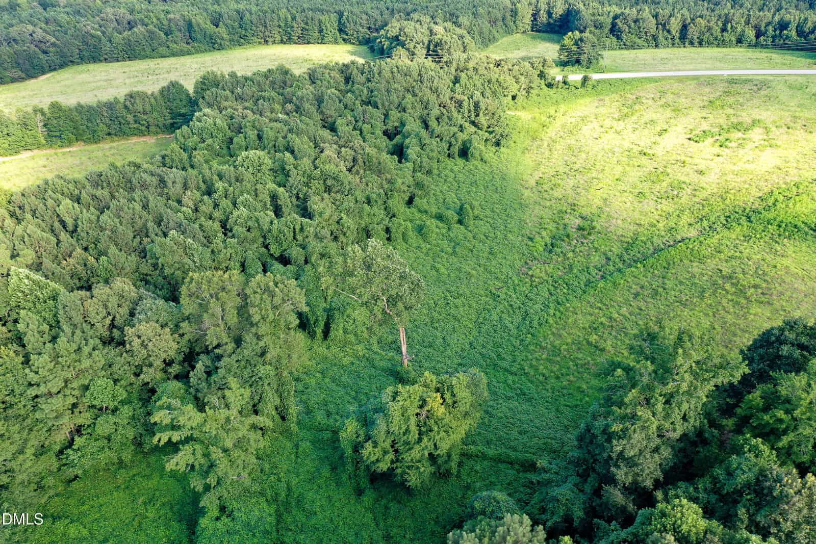 Aerial view of a lush, green landscape with dense trees on the left and center, open grassy areas on the right, and a road at the top bordered by more trees. Sunlight casts shadows over parts of the scene.