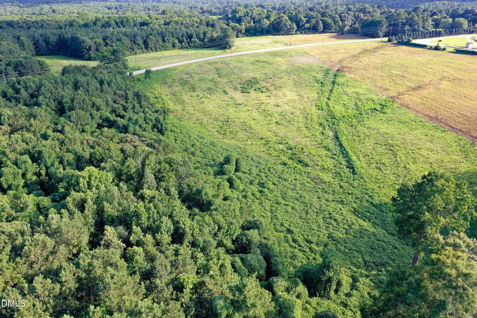 Aerial view of a green landscape with a forested area on the left, open grassy fields on the right, and a road running through the background under a clear sky.