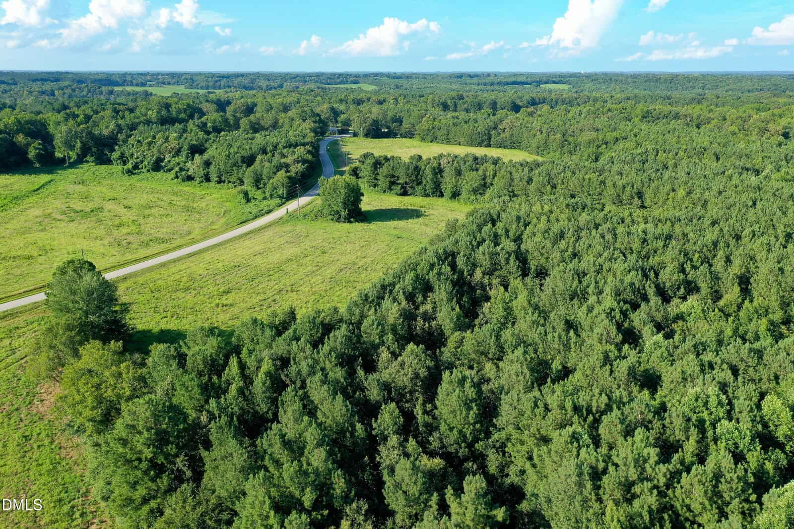 Aerial view of a rural landscape with a winding road bordered by open grassy fields on one side and dense green forest on the other under a partly cloudy sky.