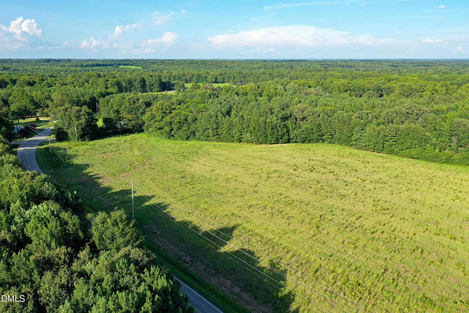 Aerial view of a grassy field bordered by trees, with a winding road on the left and a forest stretching into the distance under a blue sky with scattered clouds.