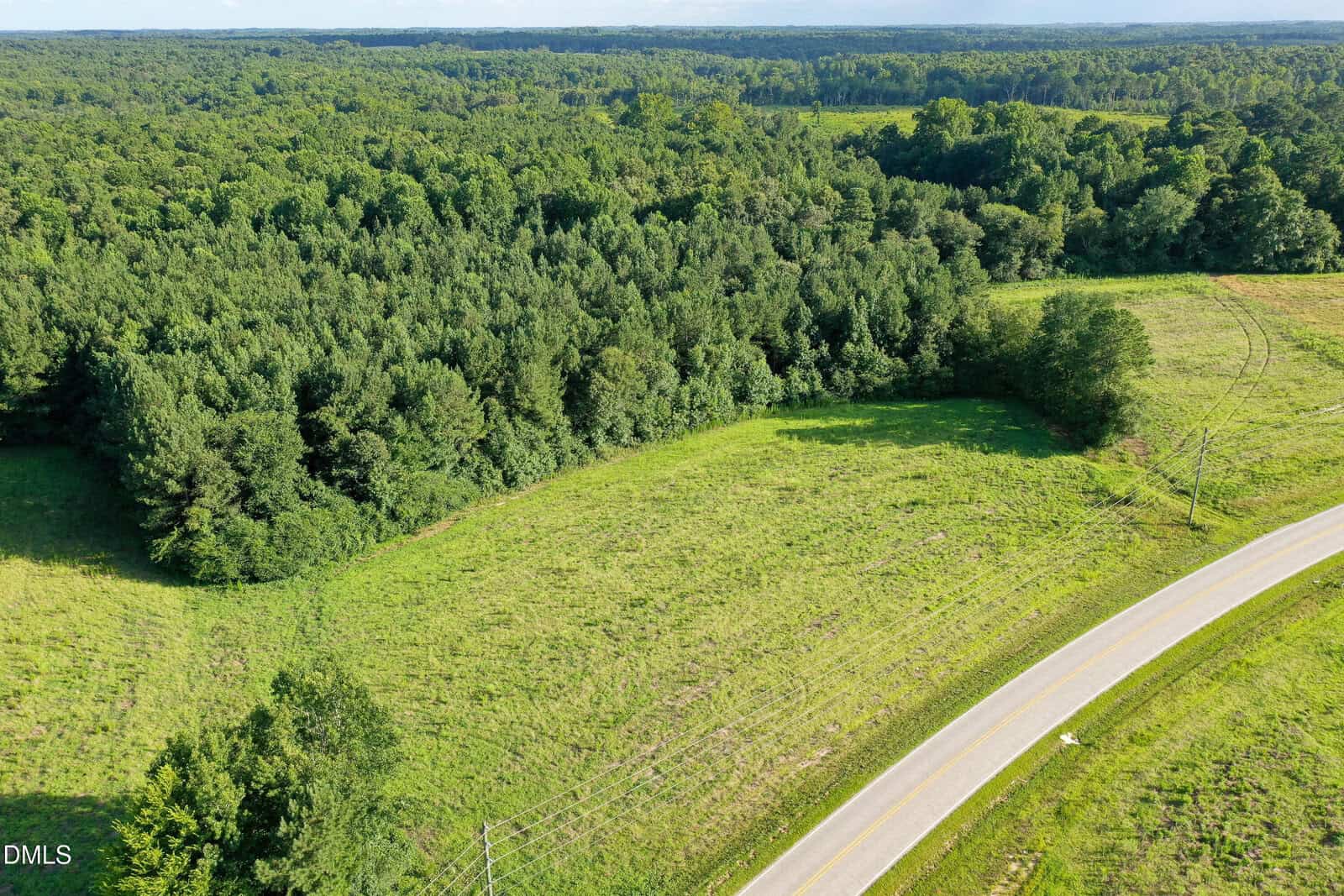 A winding rural road curves past a grassy field bordered by dense green forest under a clear blue sky. Utility lines run along the roadside.