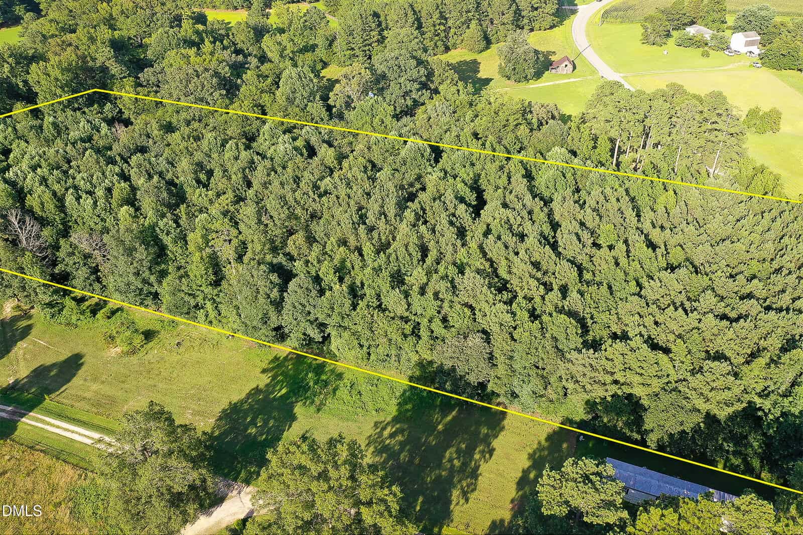 Aerial view of a densely wooded plot of land outlined in yellow, surrounded by grassy areas, trees, a road, and a few scattered houses.