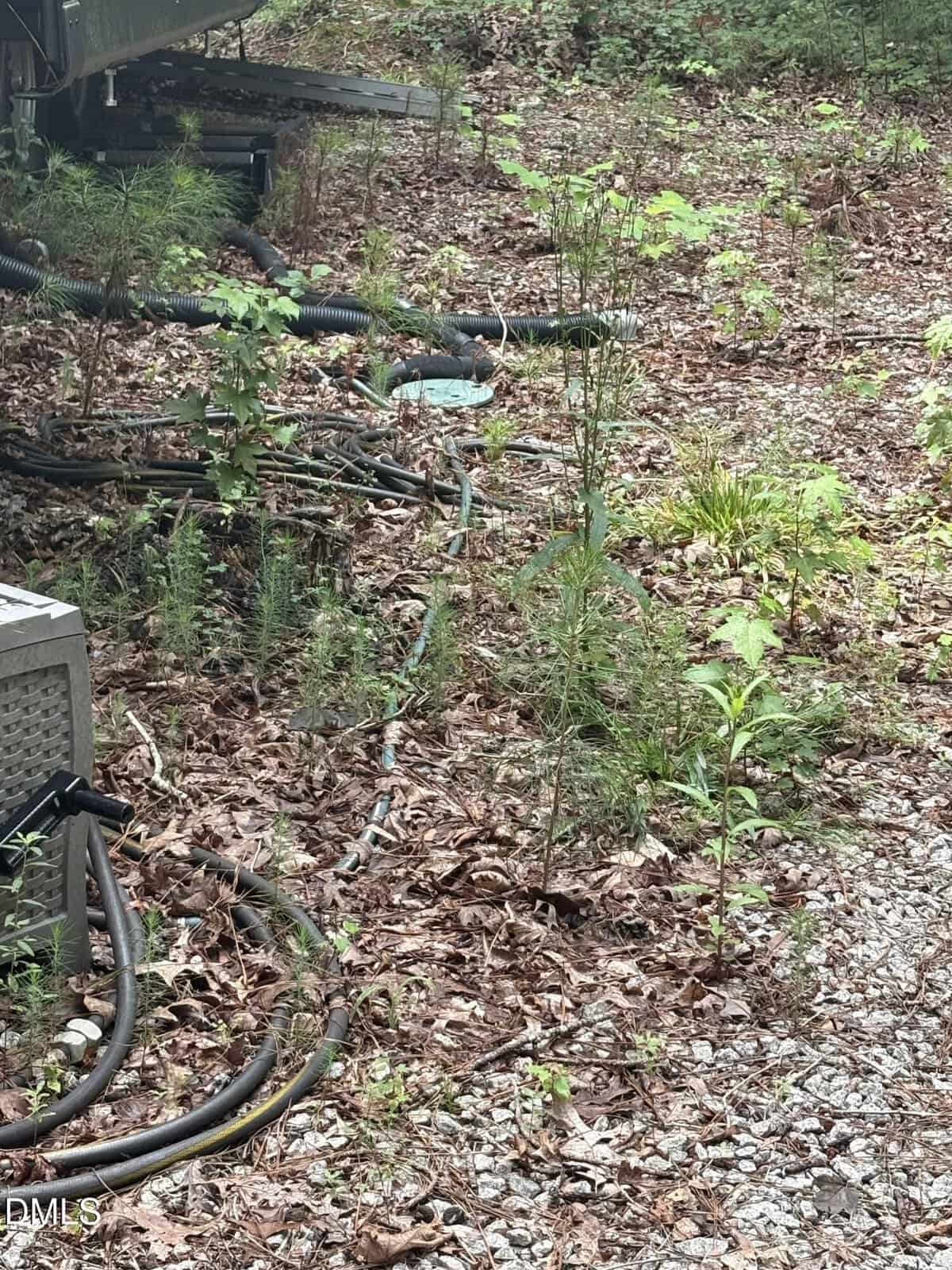Overgrown weeds and plants grow among gravel and dry leaves next to an outdoor HVAC unit, with several black cables and hoses lying on the ground.
