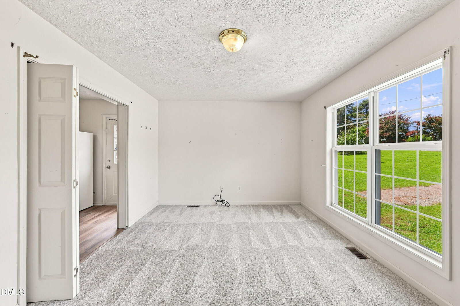 Empty room with white walls, light carpet, a ceiling light fixture, large windows showing green grass outside, and a small door leading to another area with wood flooring. Some cords are visible on the carpet.