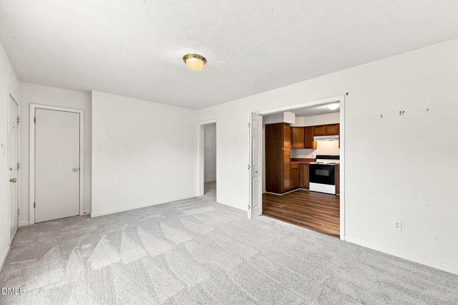 A bright, empty room with light carpet, white walls, and a ceiling light, leading to a kitchen area with wood cabinets, white appliances, and wood flooring. Two doors are visible on the left wall.