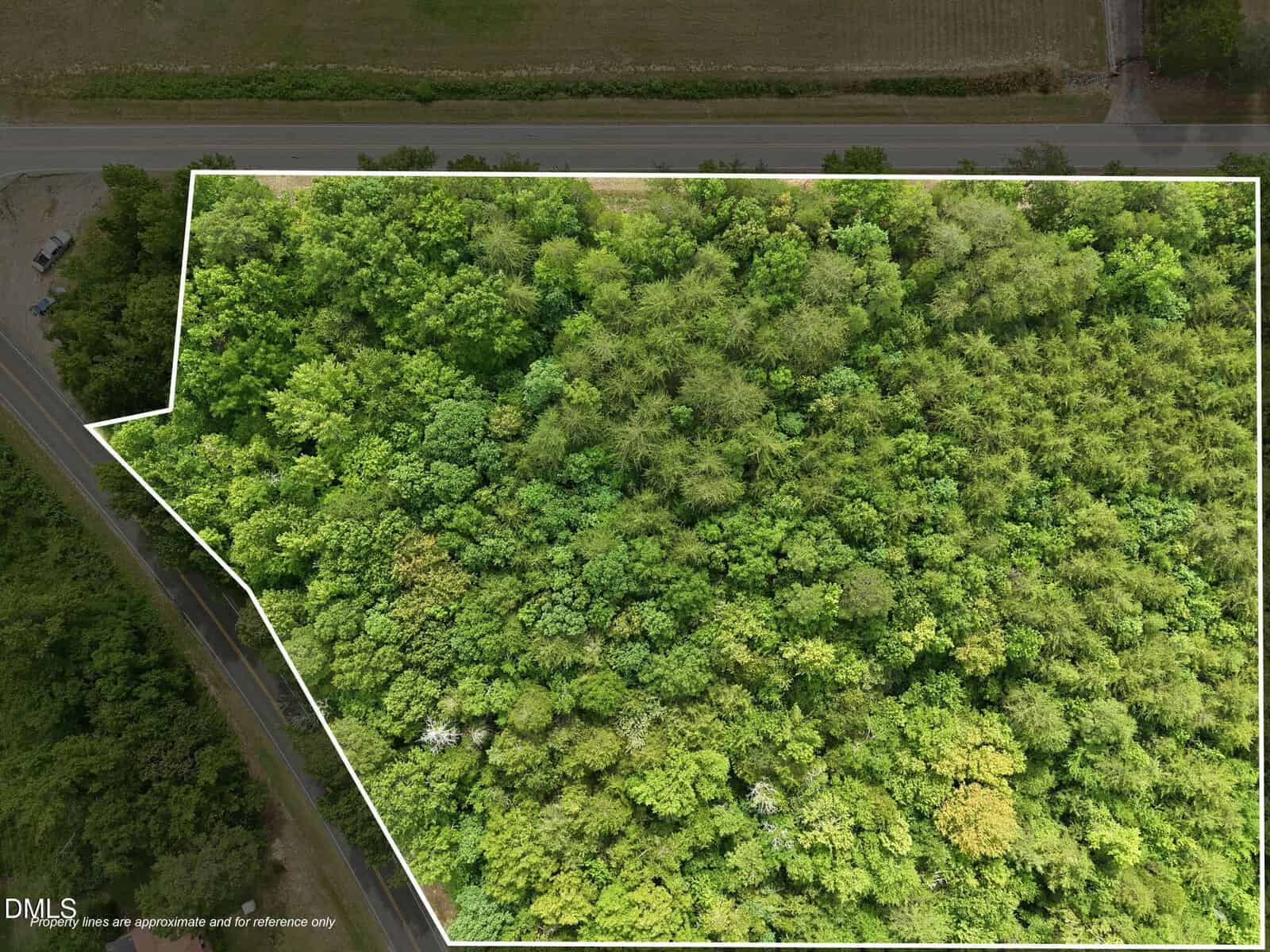 Aerial view of a densely wooded, rectangular plot of land outlined in white, bordered by roads on the top and left sides, with green trees covering the entire area.