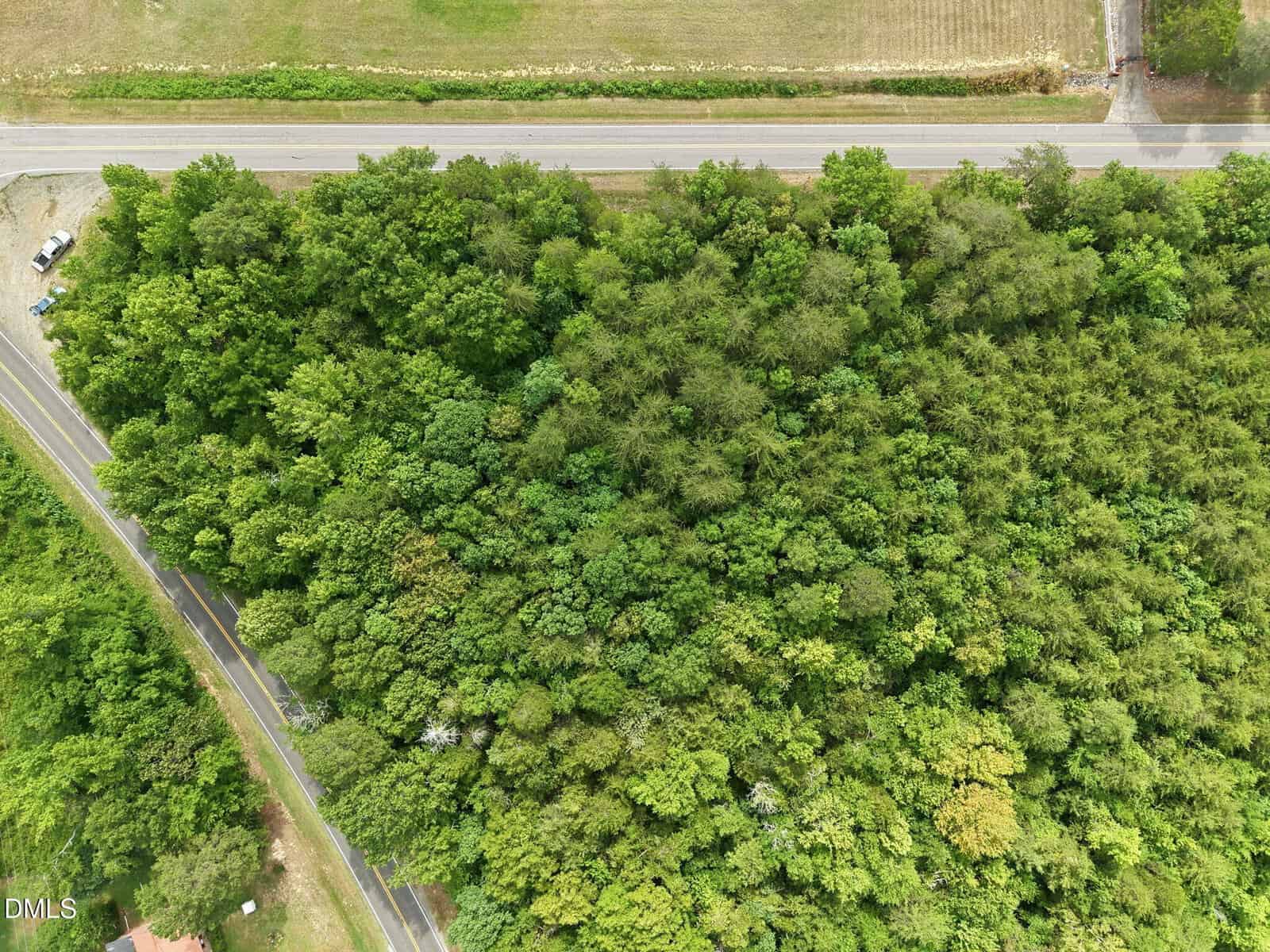 Aerial view of dense green forest with a road running along the top and another road curving through the bottom left corner, bordered by fields and grass.