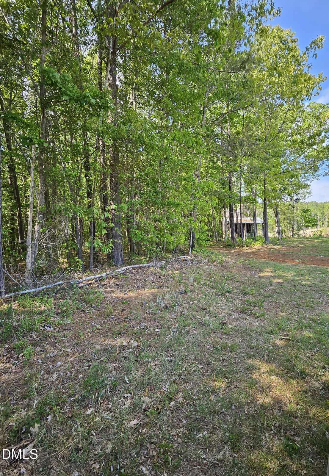 A lightly wooded area with green trees and sparse grass. There is a partially visible house in the background to the right, and sunlight is filtering through the canopy. The ground has patches of bare soil and fallen leaves.