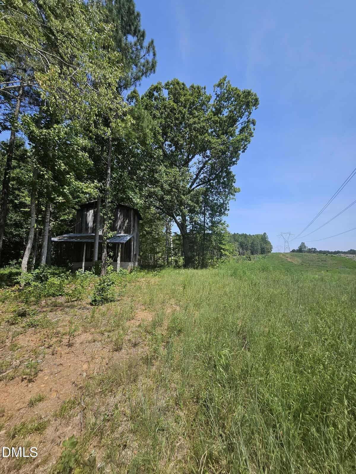 A small, weathered wooden shed stands among trees on the left, with a grassy clearing and power lines running through open land on the right under a clear blue sky.