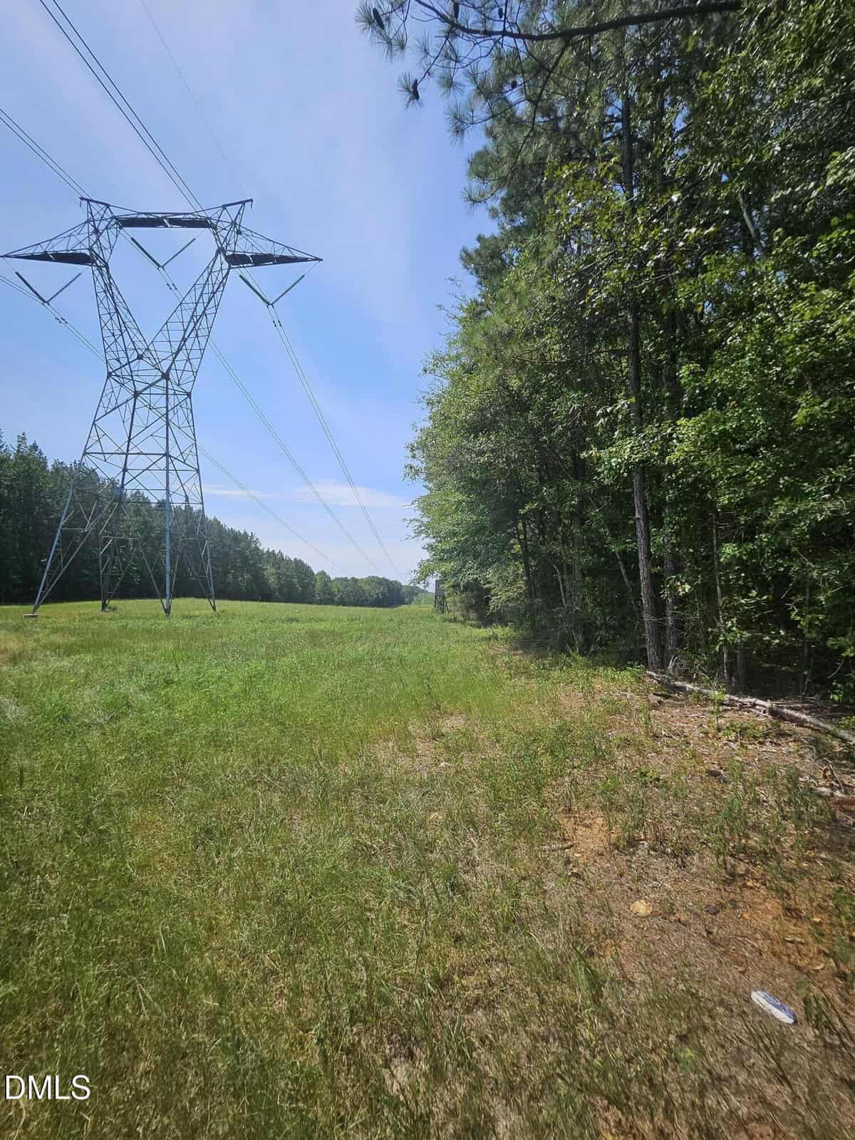 A grassy clearing with tall electrical transmission towers and power lines runs beside a dense green forest under a blue sky. The ground has patches of dirt and scattered vegetation.