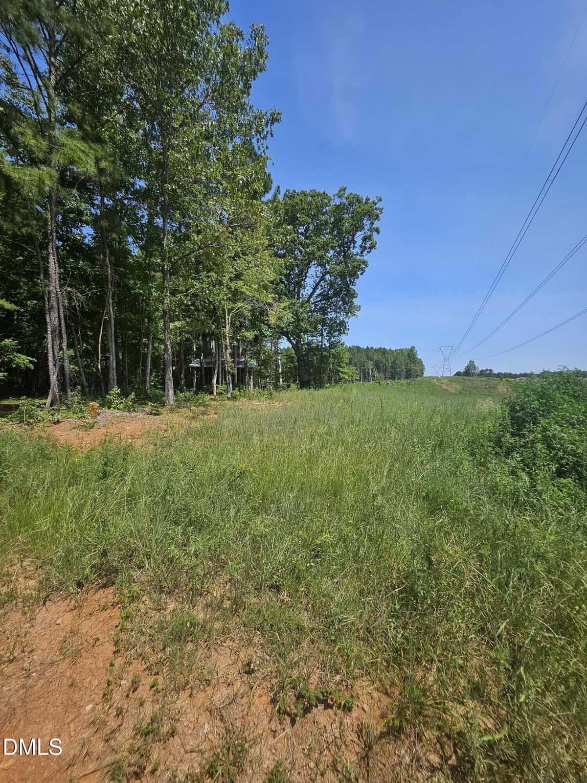 A grassy, open field with scattered trees on the left side, a dirt patch in the foreground, and power lines running along the right side under a clear blue sky.