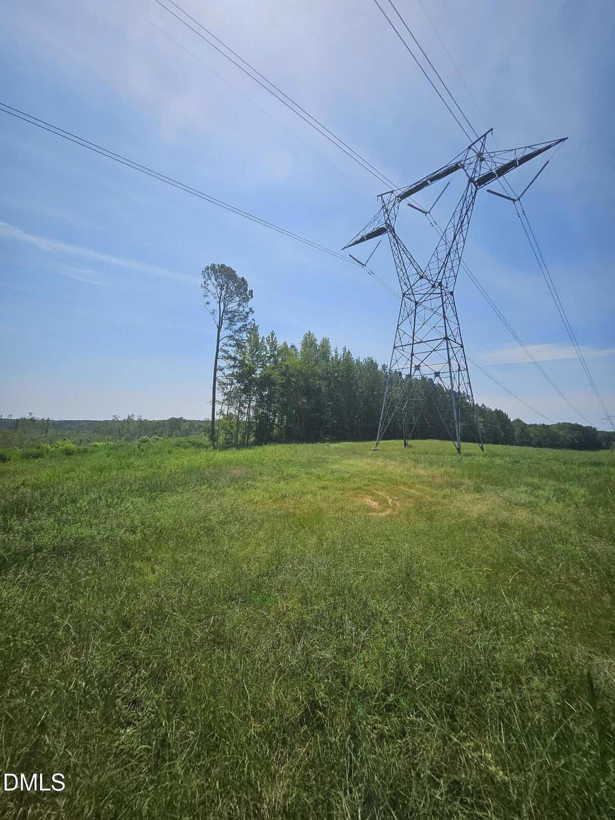 A grassy field with a tall metal power line tower and trees in the background under a blue sky. The area appears open and rural.