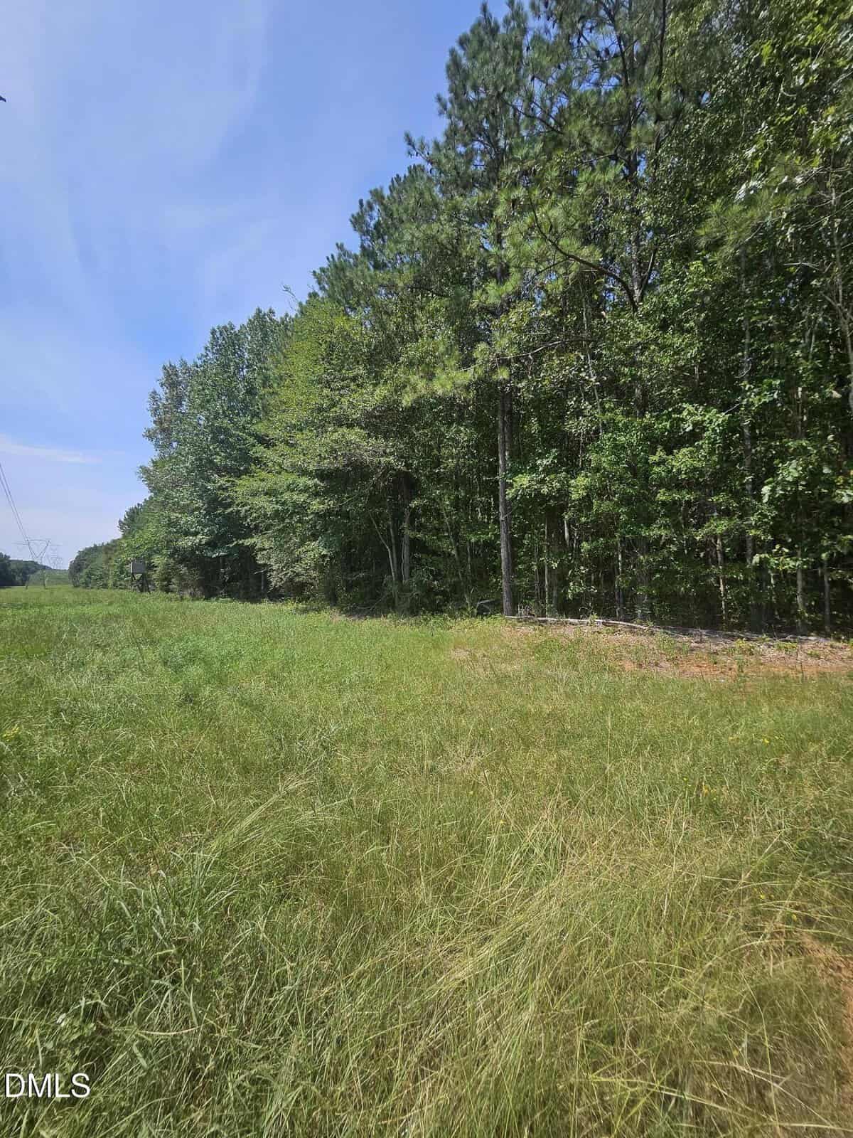 A grassy clearing runs alongside a dense forest of tall green trees under a blue sky, with power lines visible on the left.