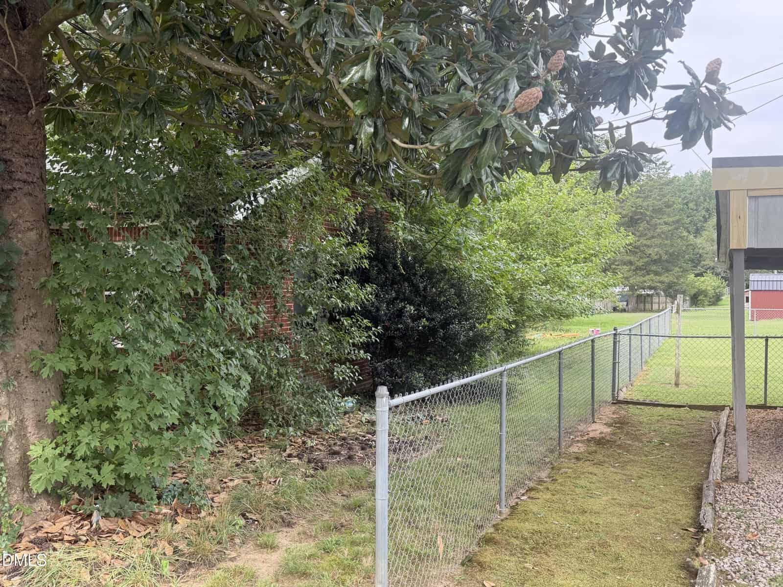 A chain-link fence separates a grassy yard from trees and shrubs. A large tree overhangs the fence on the left. Part of a house and a small structure are partially visible in the background.