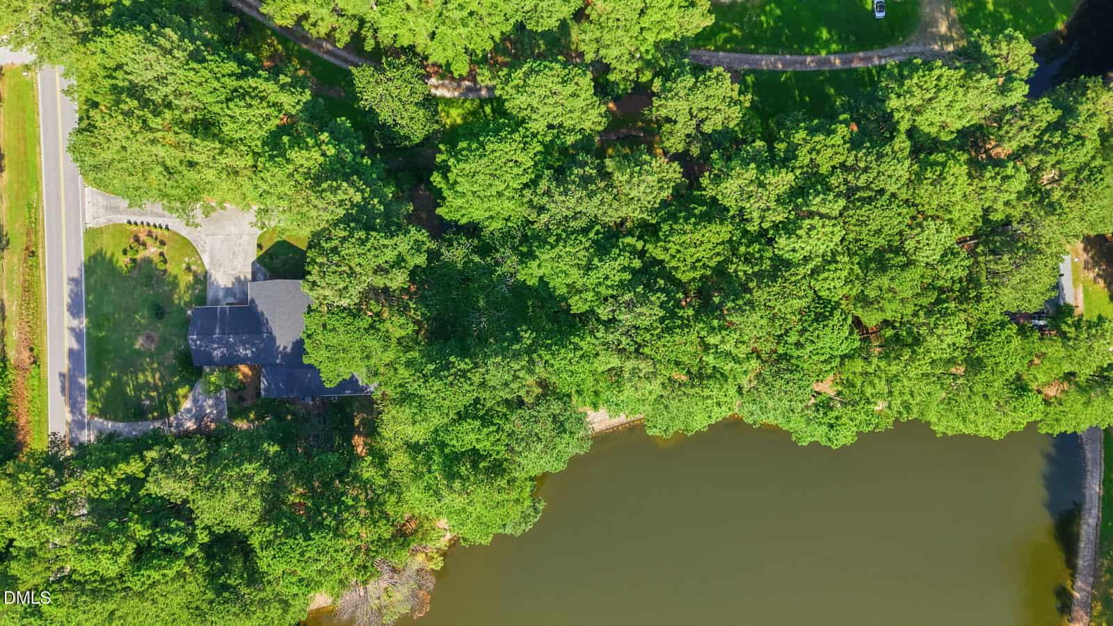 Aerial view of a house partially hidden by dense green trees next to a brownish lake, with a road visible on the left and grassy areas surrounding the property.
