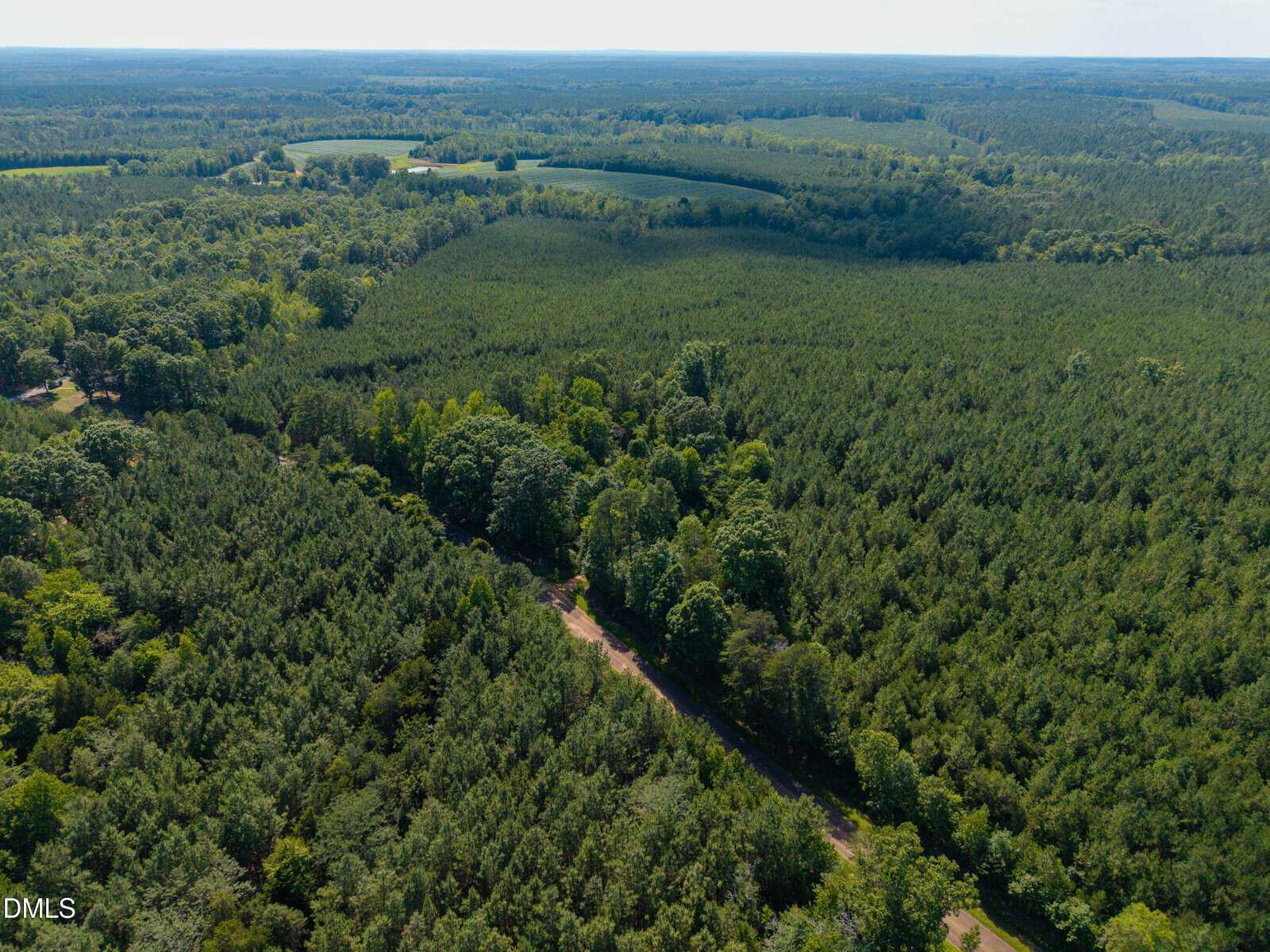 Aerial view of a dense forest with a dirt road cutting through the trees. The landscape is mostly green with patches of farmland visible in the distance under a clear sky.