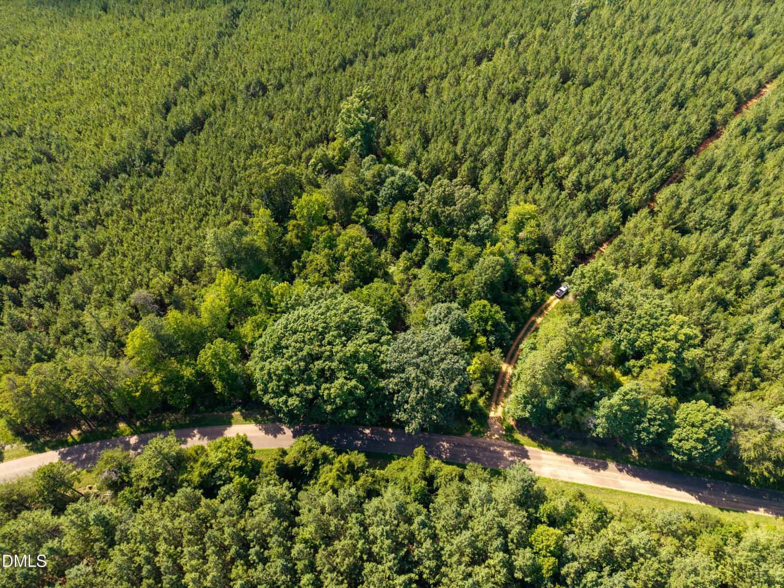 Aerial view of a dense forest with a paved road curving through the trees. A narrow dirt driveway leads from the road into the forest, with a white vehicle parked along the driveway. Trees cover most of the area.
