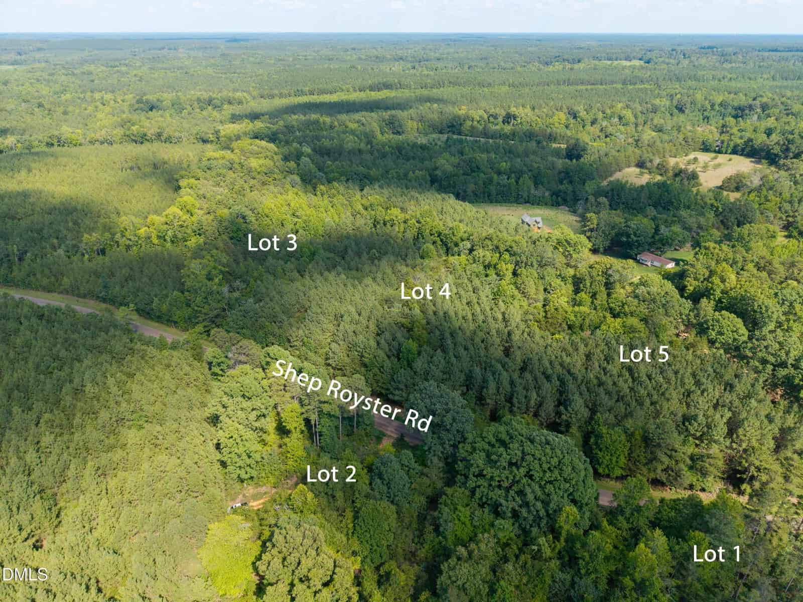 Aerial view of a forested rural area with labeled property lots 1 through 5 and Shep Royster Road running through the scene. Trees and some open clearings are visible throughout the lots.