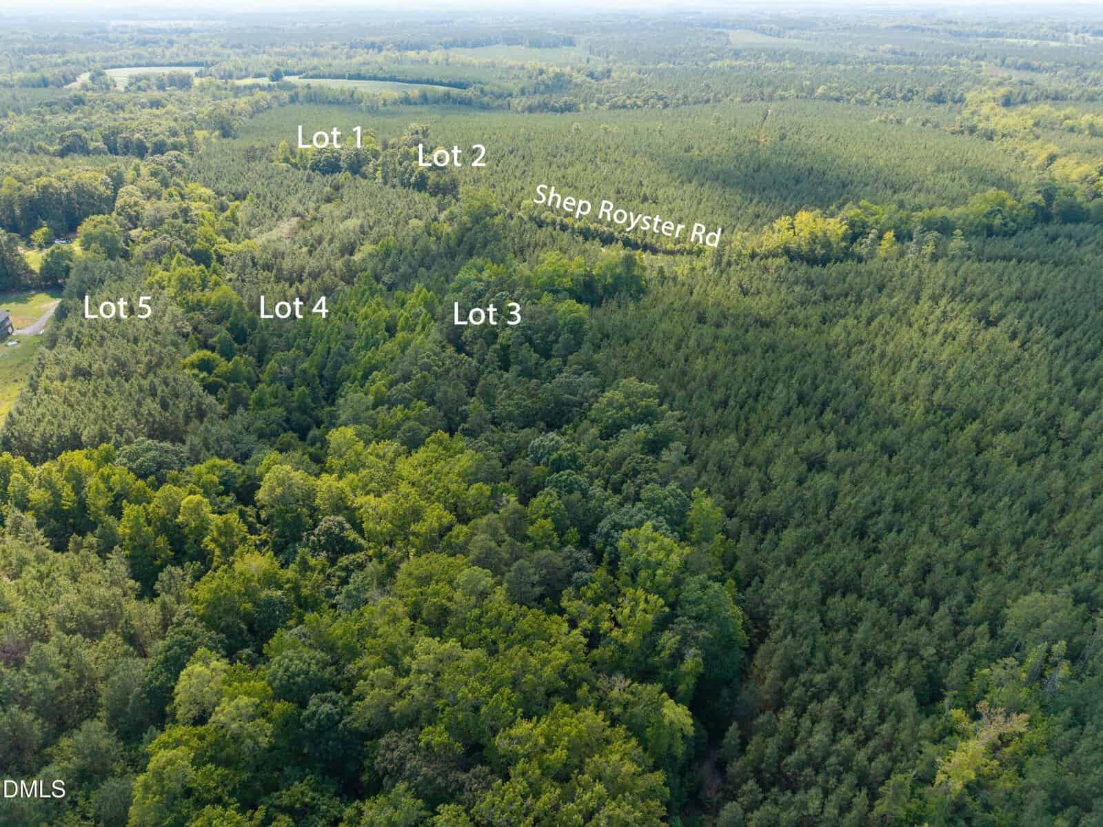 Aerial view of a forested landscape with five lots labeled Lot 1 to Lot 5 and a road labeled Shep Royster Rd cutting through the trees. Dense greenery covers the area, and the land is divided by white text labels.