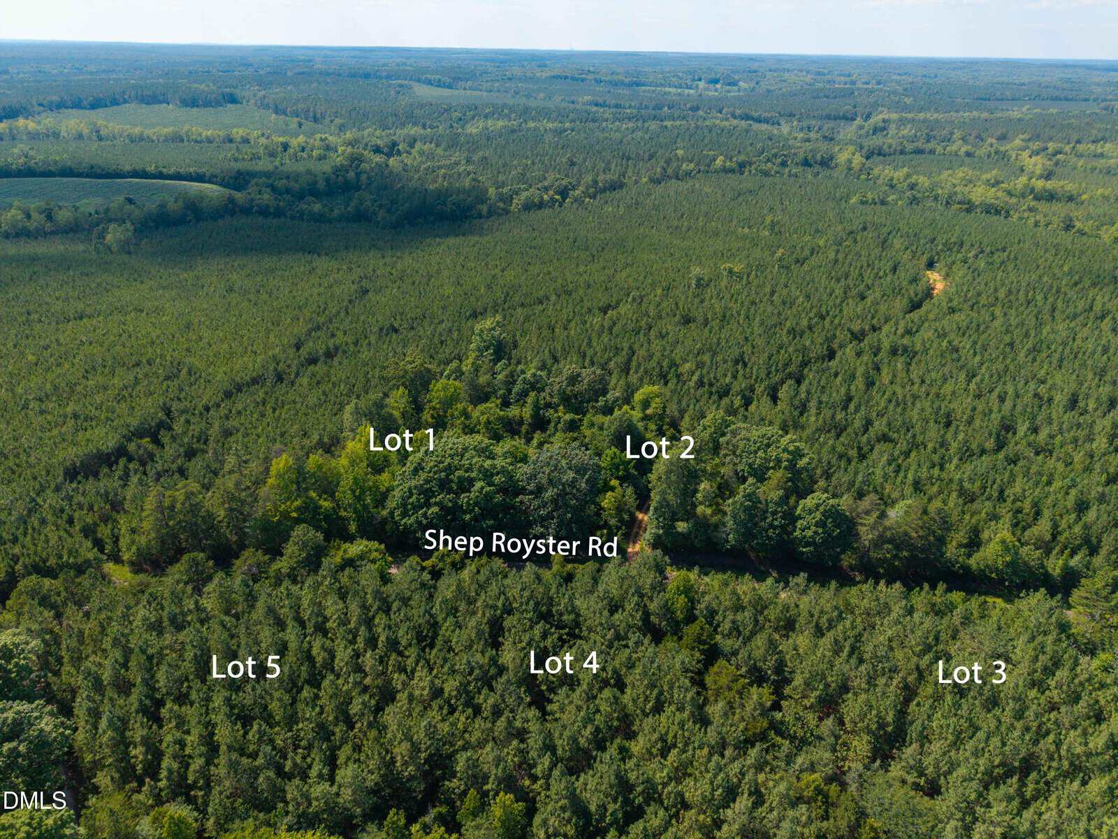 Aerial view of a forested area with labeled sections: Lot 1, Lot 2, Lot 3, Lot 4, and Lot 5, divided by Shep Royster Rd running through the middle. Dense trees cover the lots and the surrounding landscape.