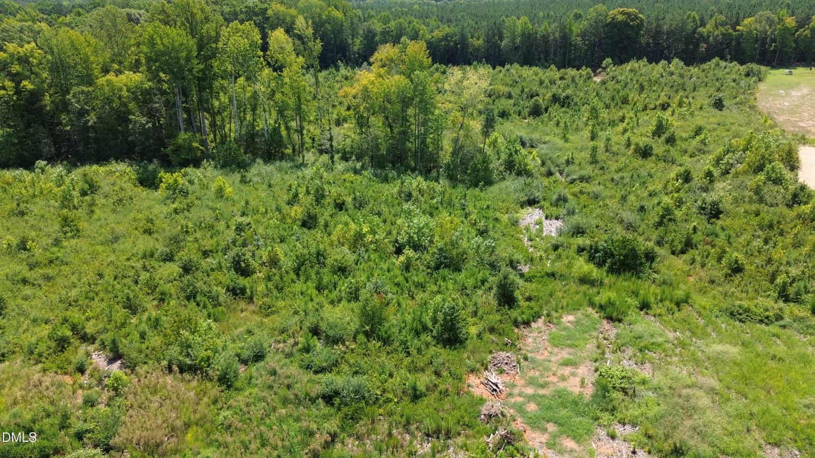 Aerial view of a green, overgrown field with trees bordering one side. Some patches of bare soil and scattered brush are visible throughout the area. The background shows a dense forest under a clear sky.