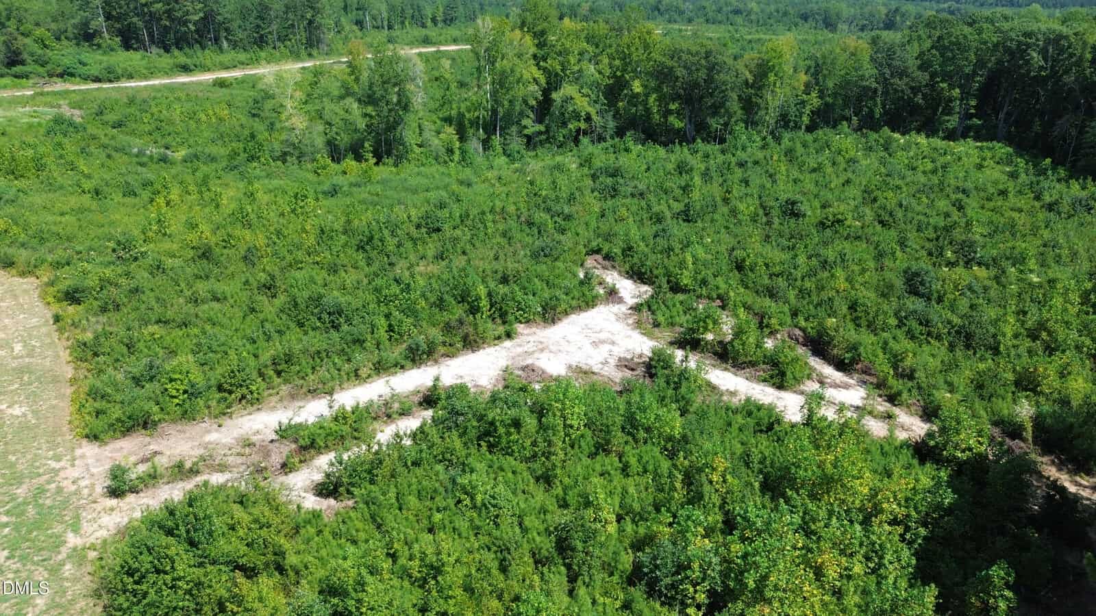 Aerial view of a dirt path forming a Y-shape, surrounded by dense green vegetation and trees, with a forested area in the background.
