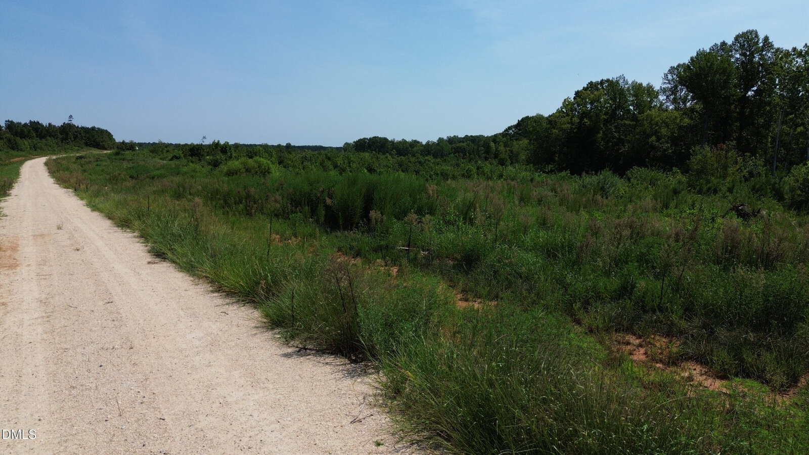 A dirt road runs alongside a grassy and slightly overgrown field with trees in the background under a clear blue sky.