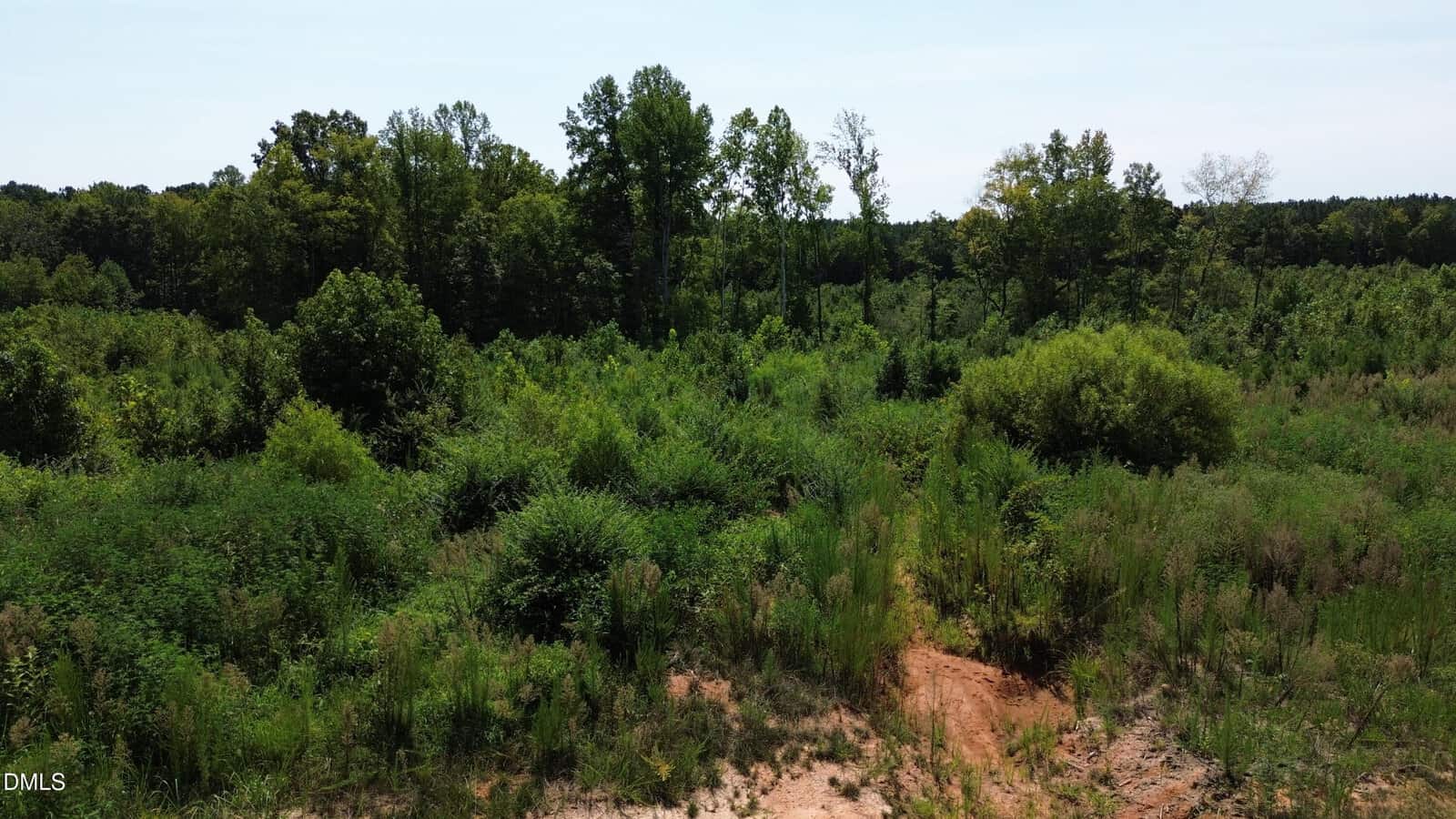 A dense, green forest with various trees and shrubs under a clear sky surrounds the area near 30 Tillery Drive, Louisburg. The foreground shows tall grass and a small patch of exposed reddish-brown soil.