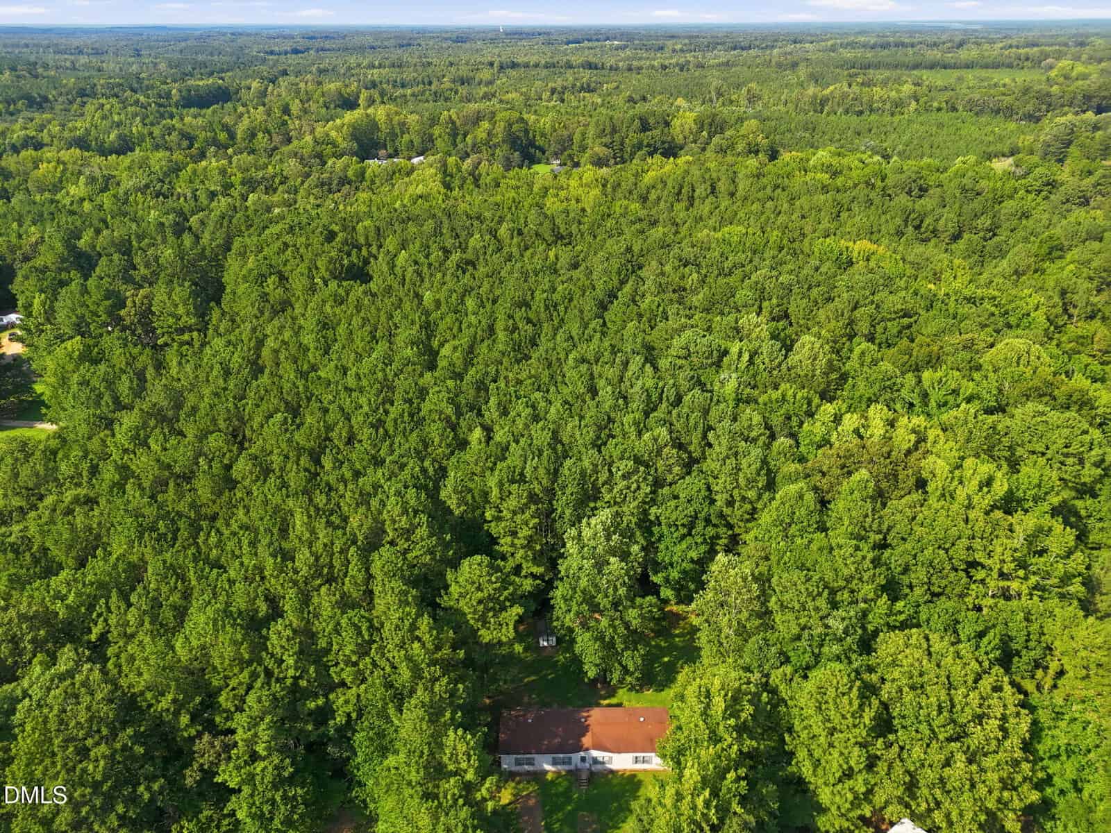 A house with a red roof is surrounded by dense green forest, with only the roof visible through the trees. The landscape extends to the horizon, showing a vast expanse of wooded area under a partly cloudy sky.