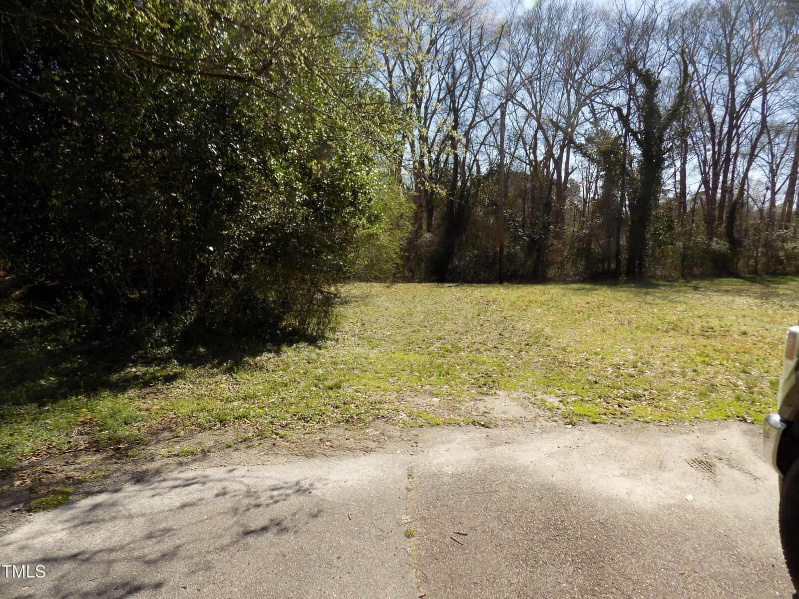 A sunlit grassy lot bordered by dense trees and bushes. The foreground shows a cracked concrete surface, while leafless trees stand in the background under a clear sky.