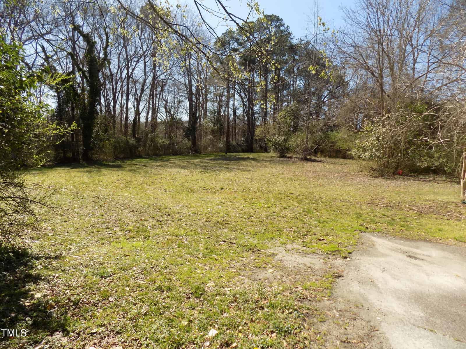 A grassy yard bordered by leafless trees and bushes under a clear sky, with a section of concrete pavement visible in the foreground.