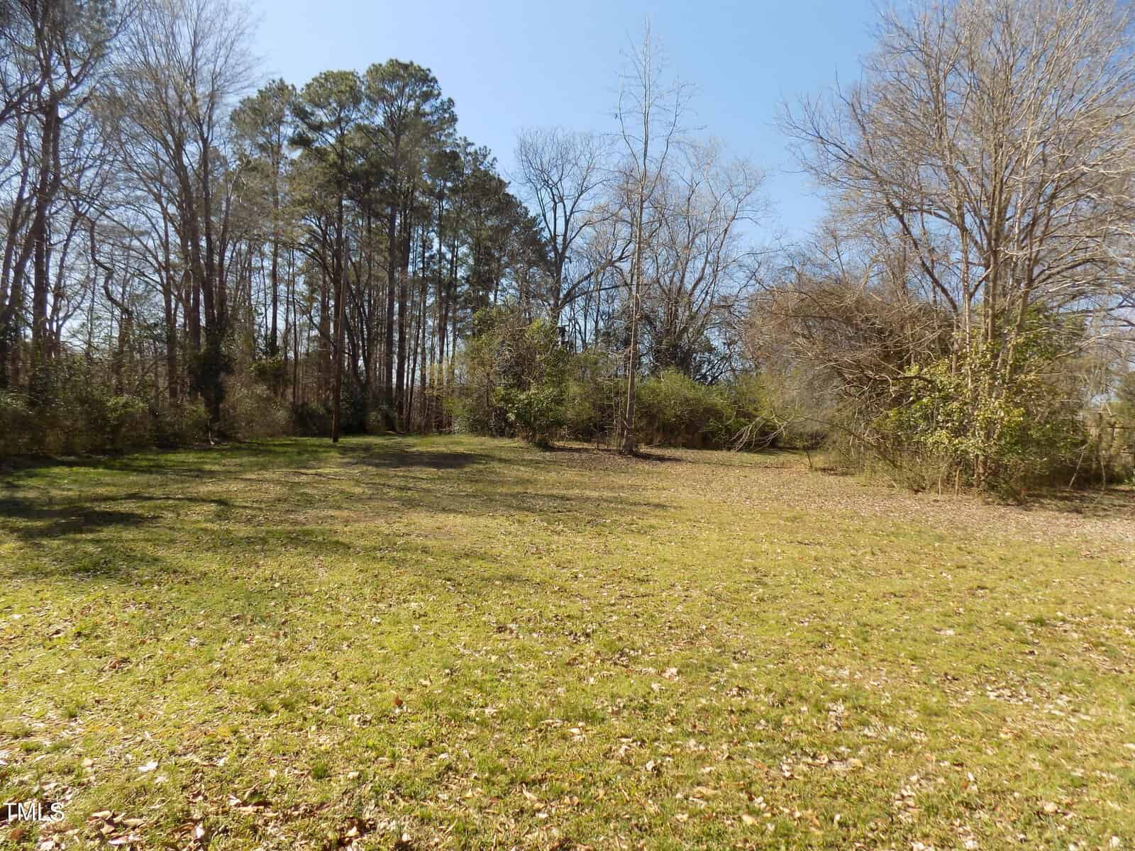 A grassy open area with scattered leaves, bordered by trees with bare branches and some dense shrubbery, under a clear blue sky on a sunny day.