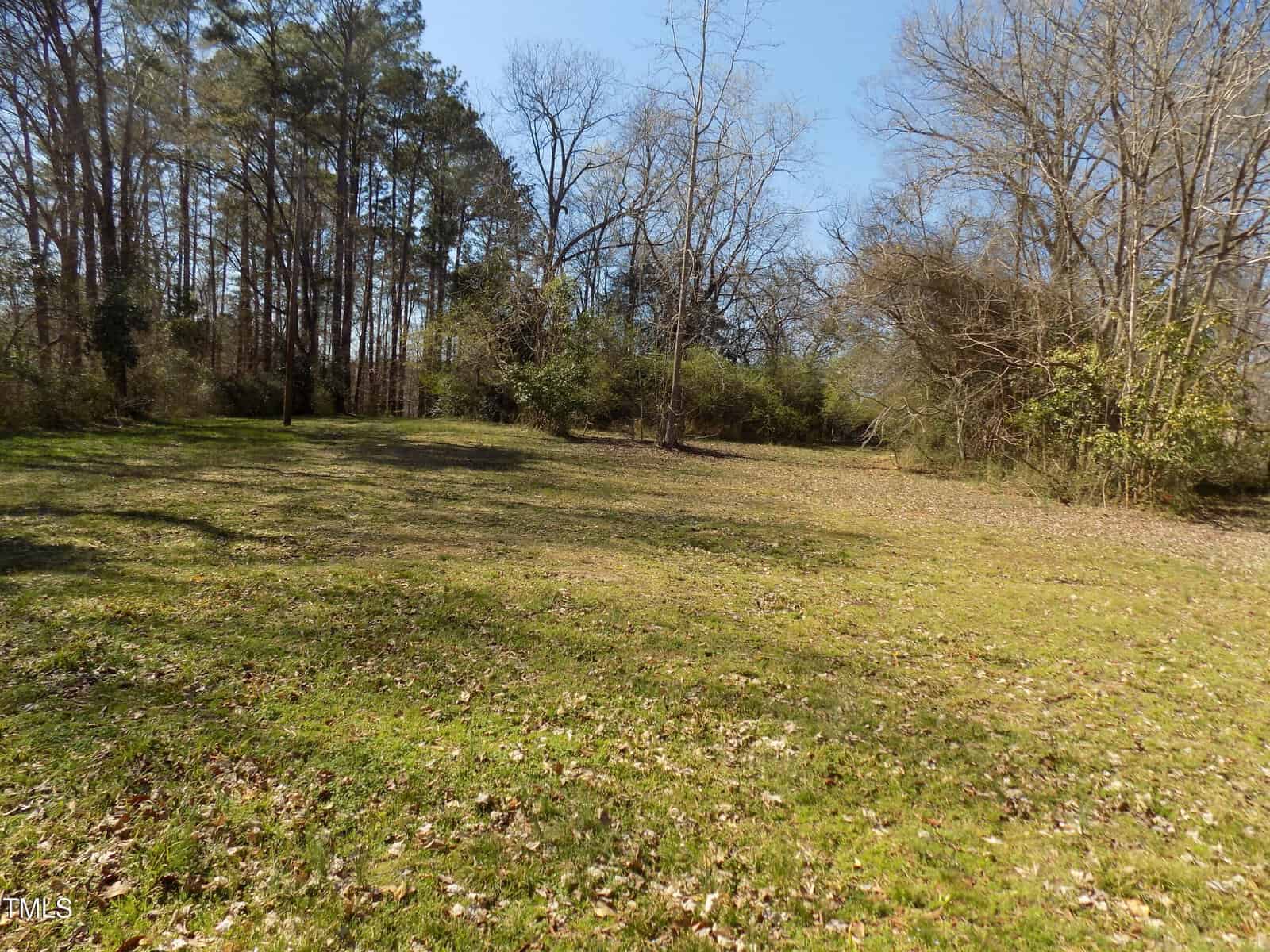 A grassy, open field with scattered fallen leaves, bordered by clusters of leafless and evergreen trees under a clear blue sky. Shadows from trees are cast across the ground.