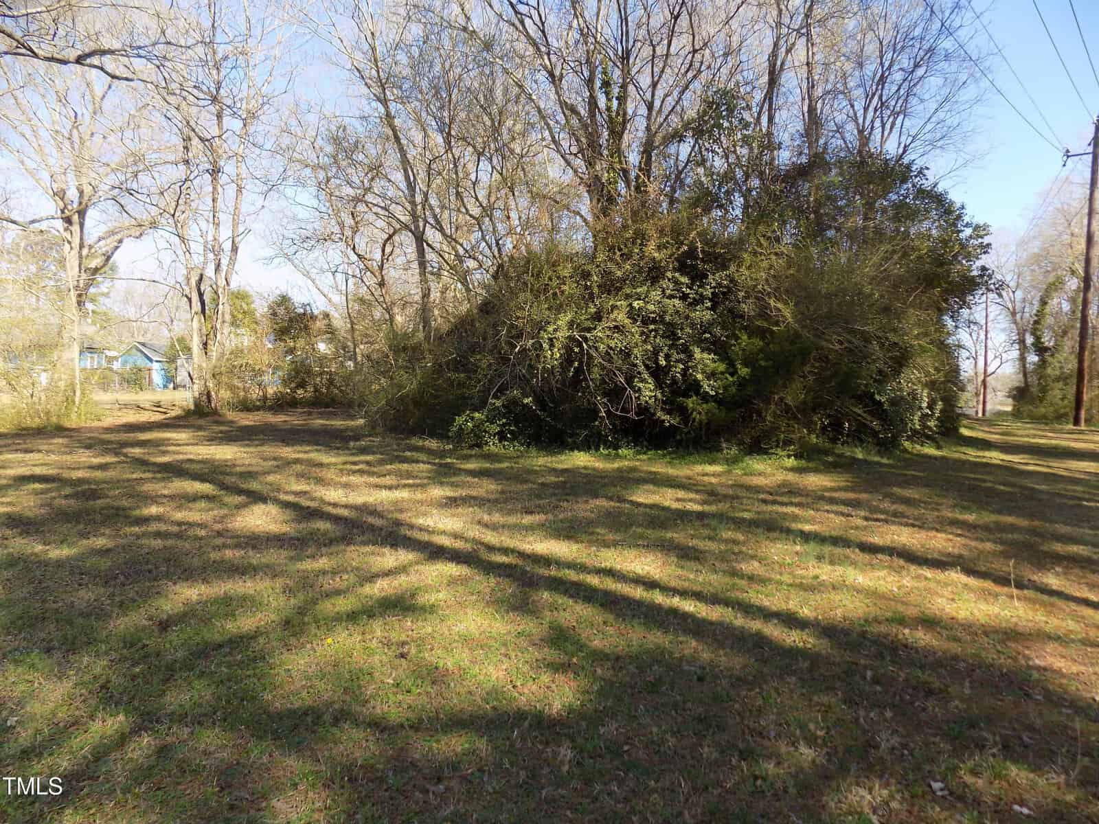 Grassy yard with scattered shade from trees, a dense green bushy area on the right, and a blue house visible in the background on the left under a clear sky.