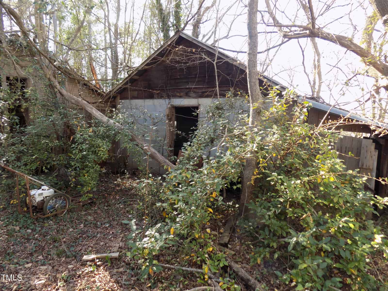 An old, weathered shed with a partially collapsed roof is surrounded by overgrown bushes and trees. A fallen tree leans against the building, and a rusted wheelbarrow sits nearby.