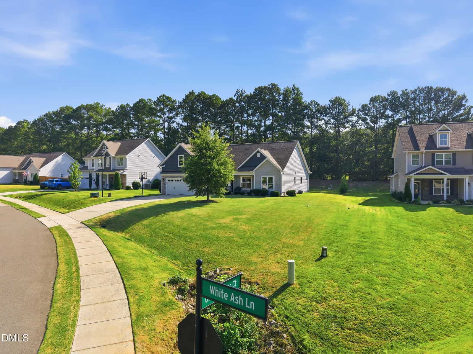 A suburban street corner with neatly maintained lawns, several modern houses, and a street sign reading “White Ash Ln” under a clear blue sky.