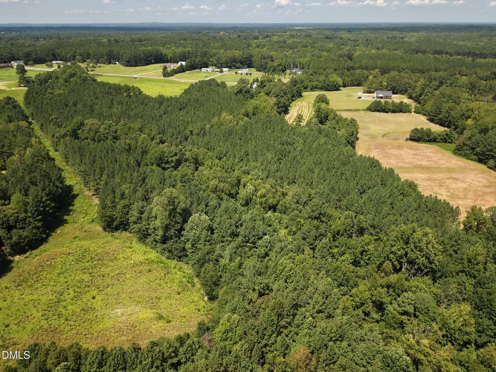 Aerial view of a rural landscape featuring dense green forest, open grassy fields, scattered buildings, and distant tree lines under a partly cloudy sky.