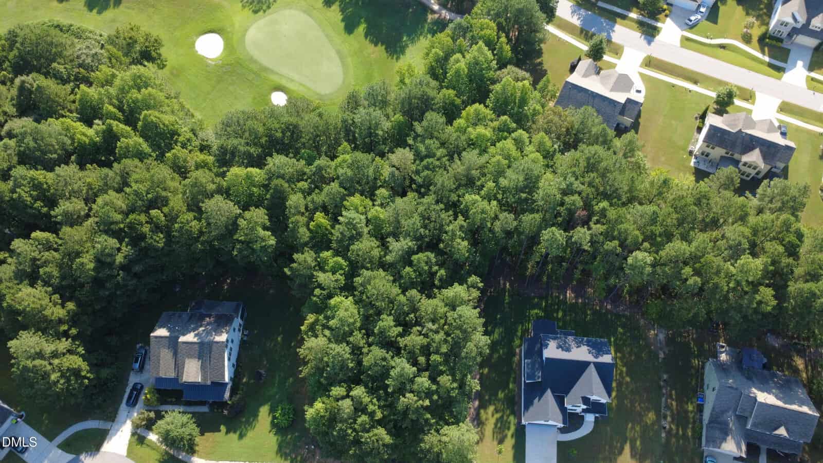 Aerial view of a suburban neighborhood in Franklinton, with houses, a wooded area in the center, and a golf course featuring a green and sand trap at the top left. Streets and driveways are visible around the homes, including 110 N Ridge View Way.