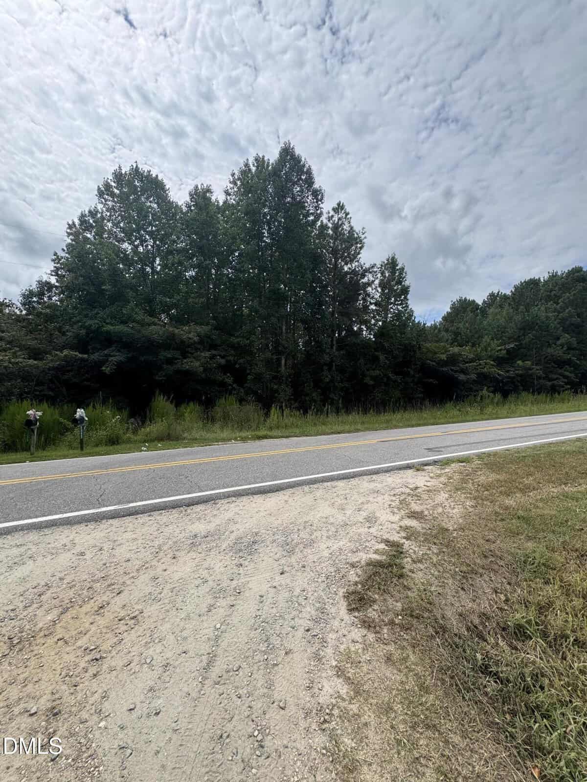 A paved road lines the edge of a wooded area with tall trees and cloudy skies above. Two people stand near the trees on the left side of the image. The foreground shows a mix of gravel and grass.