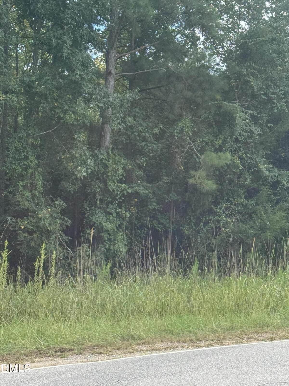 A roadside view with tall grass in the foreground and dense, leafy green trees in the background under a partly clear sky.