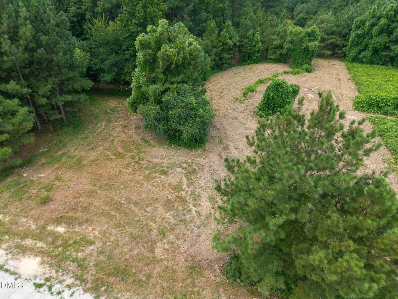 Aerial view of a grassy, partially cleared area bordered by dense trees and patches of taller brush, with a mix of green and brown vegetation visible throughout.