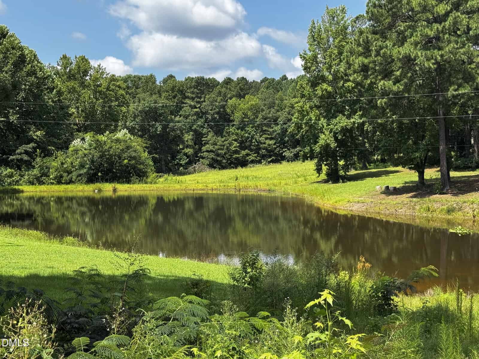 A small pond at 419 Snow Hill Road, Warrenton, is surrounded by green grass, wild plants, and trees under a partly cloudy blue sky. The trees are reflected in the still water.