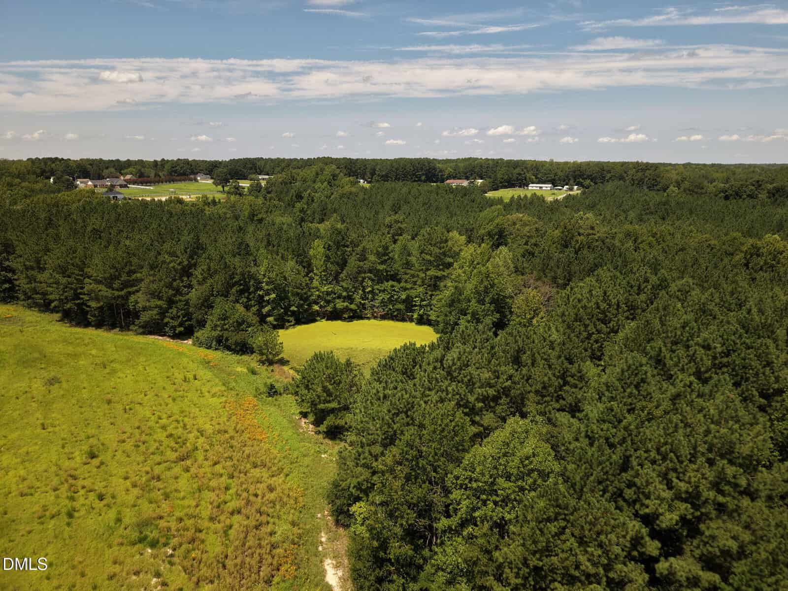 Aerial view of a green, wooded area with dense trees, an open grassy clearing, and blue sky with scattered clouds. Some buildings are visible in the distant background.