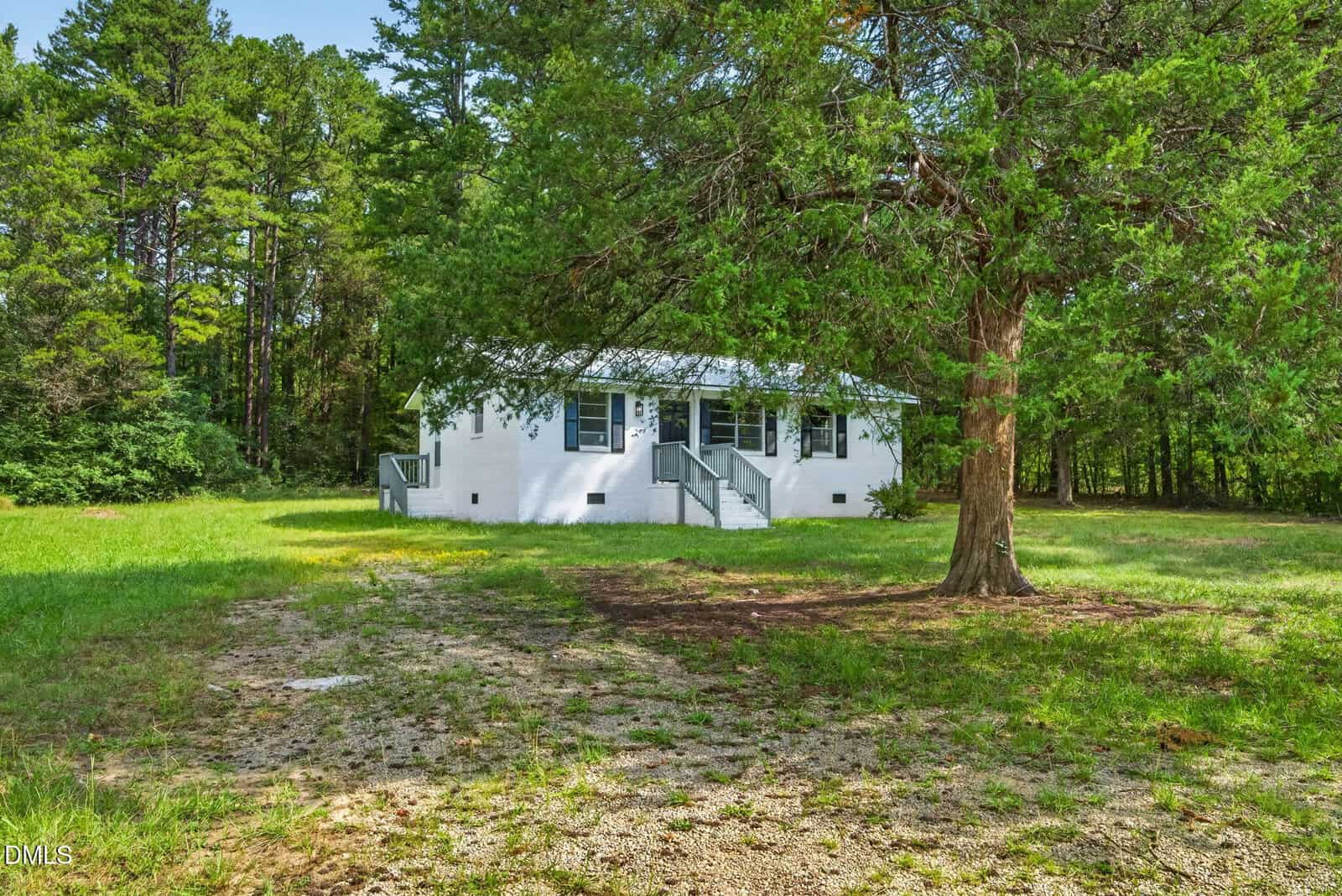 A small white house with a front porch sits surrounded by green grass and tall trees, with a large tree prominently in the foreground.