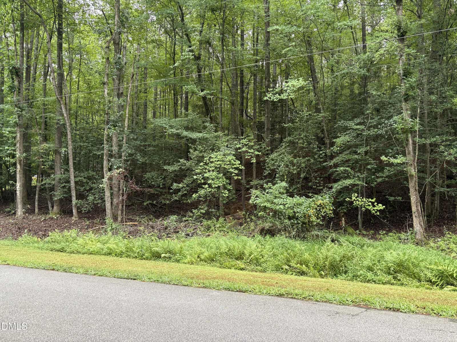 A paved road runs alongside a lush, green forest with dense trees and undergrowth near 118 Souix Drive, Louisburg. Ferns grow near the roadside, and a thin utility line crosses above the scene.