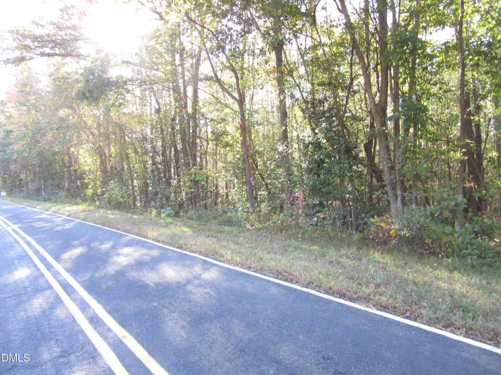 A two-lane road curves beside a dense forest with sunlight filtering through the trees, casting shadows on the pavement and grassy roadside.