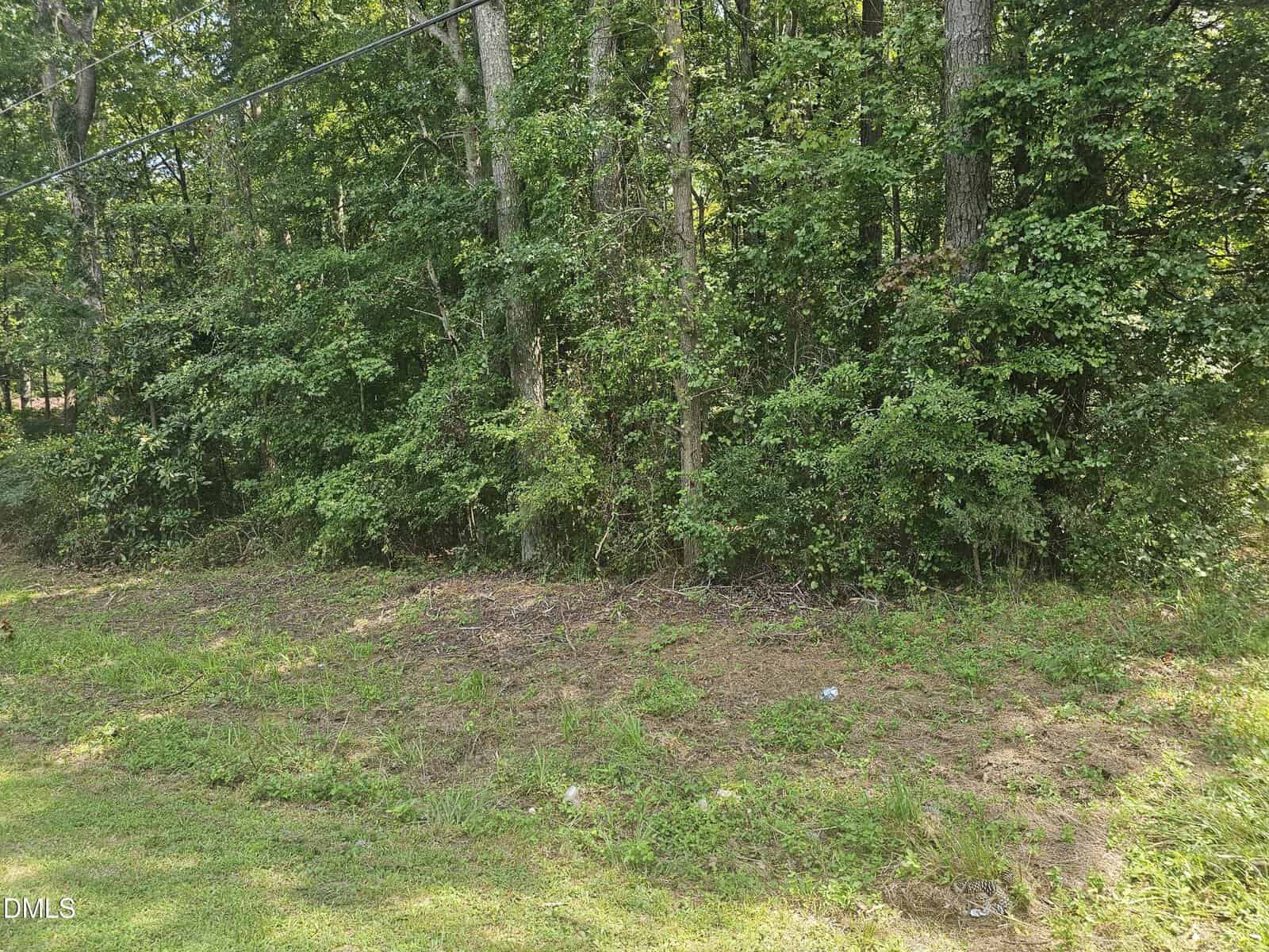 A patch of grass and dirt leads up to dense, leafy trees under a clear sky near Oxford. A black cable runs horizontally above the ground in front of the forested area at 0 Lyn Street.