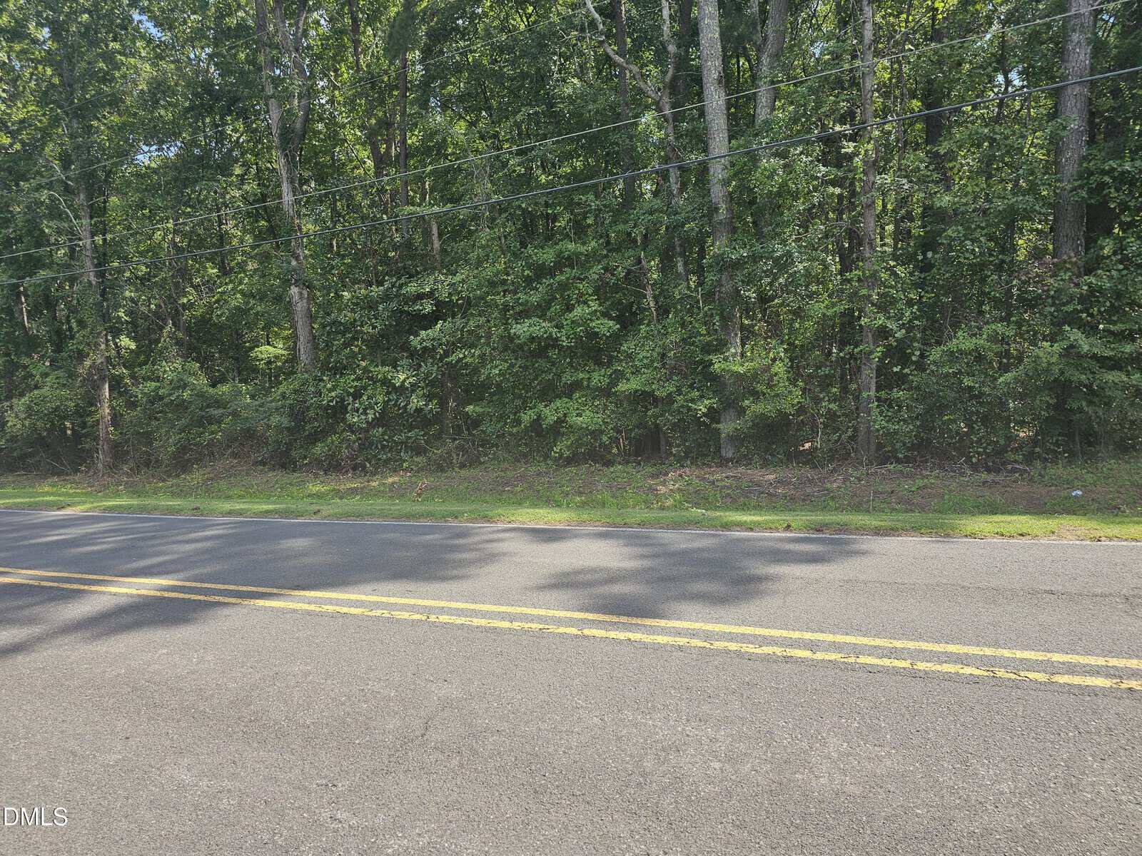 A paved road with double yellow lines runs alongside a dense forest with tall green trees and power lines overhead on a sunny day.